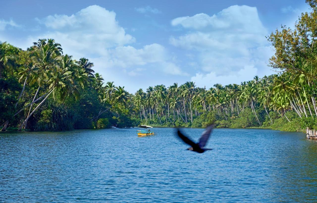 Estuary Sarovar Premiere Poovar Island Kültér fotó